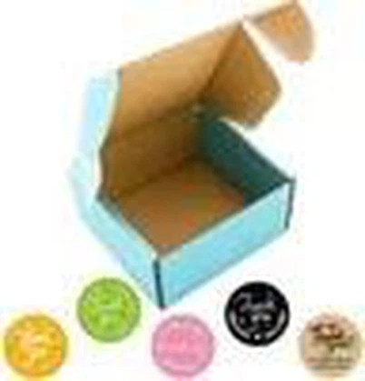 Kohandatud trükitud logo sinine värviline saatjate saatmiskastid gofreeritud pappkarpidega lennukite saatmiskastid pakendikast